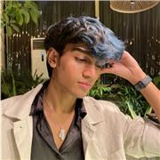 Private english tutor, Online or offline classes. I do not speak french